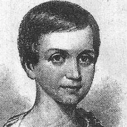 Emily Dickinson Net Worth 2026: Money, Salary, Bio | CelebsMoney