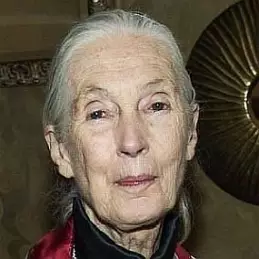Jane Goodall Net Worth 2026: Money, Salary, Bio | CelebsMoney