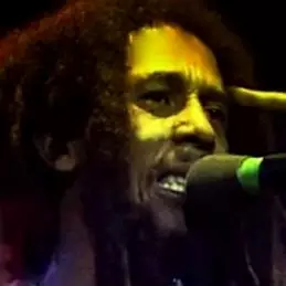 Bob Marley Net Worth 2026: Money, Salary, Bio | CelebsMoney